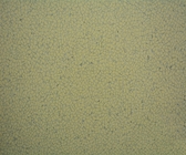 Chenmicals Resistance Anti Static PVC Flooring With Dimensional Stability